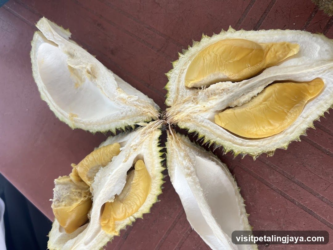 Open Durian Fruit