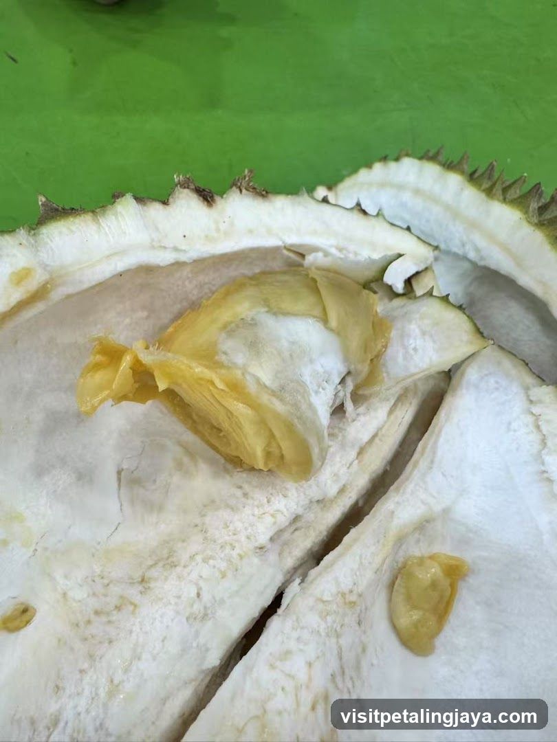Durian Flesh
