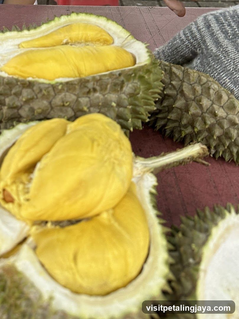 Fresh Durian Fruit