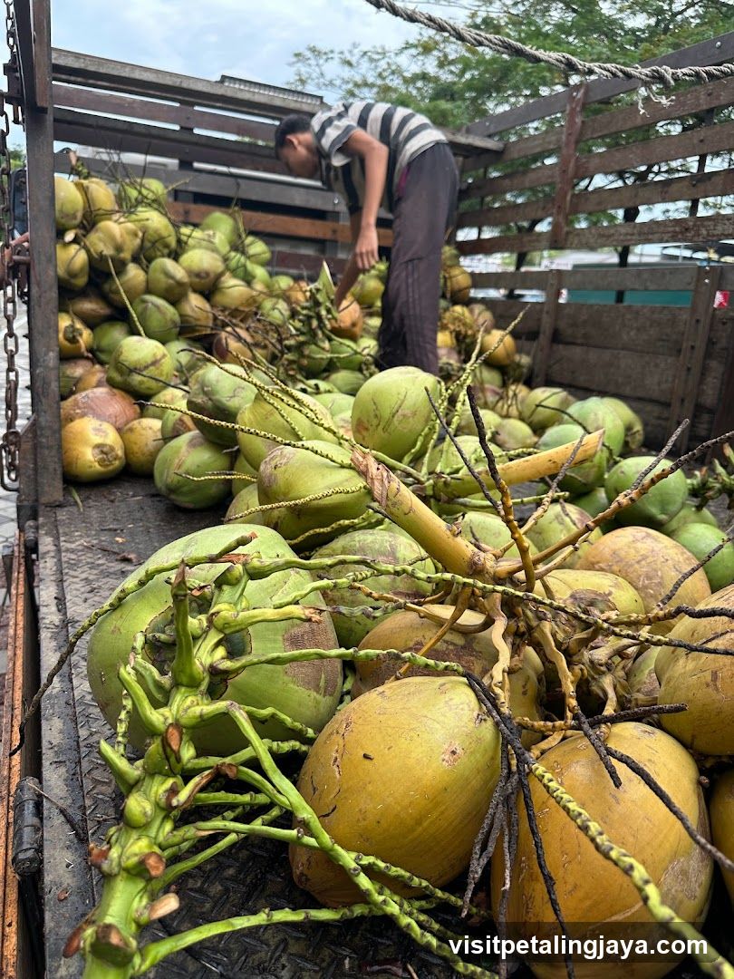 Coconuts in a Truck