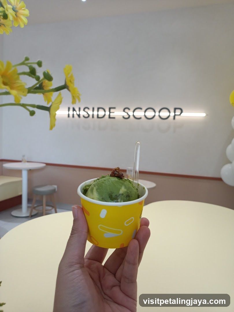 Ice Cream Cup