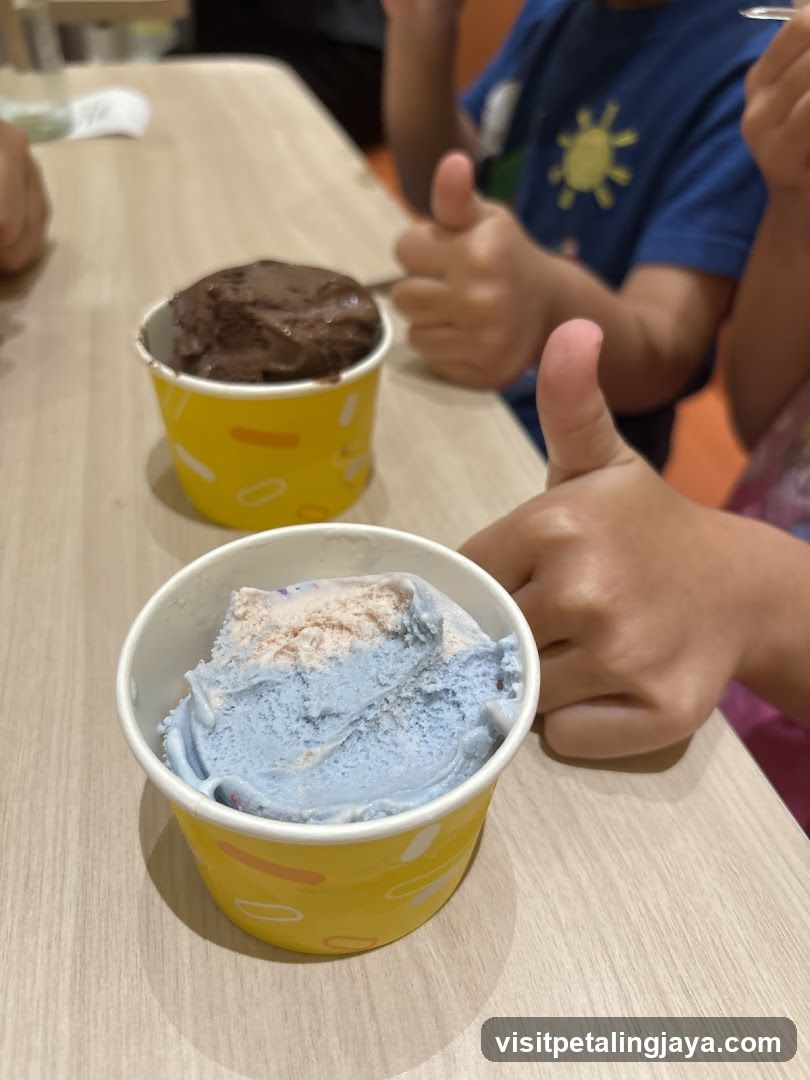 Ice Cream Cups