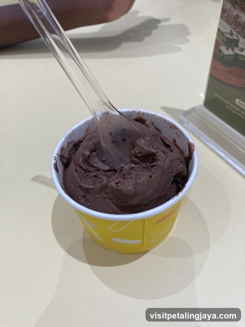 Chocolate Ice Cream Cup