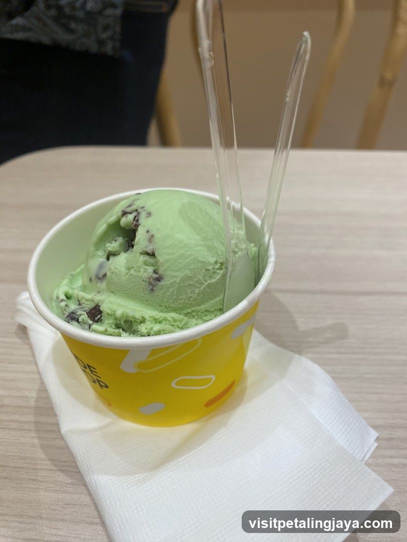 Mint Chocolate Chip Ice Cream