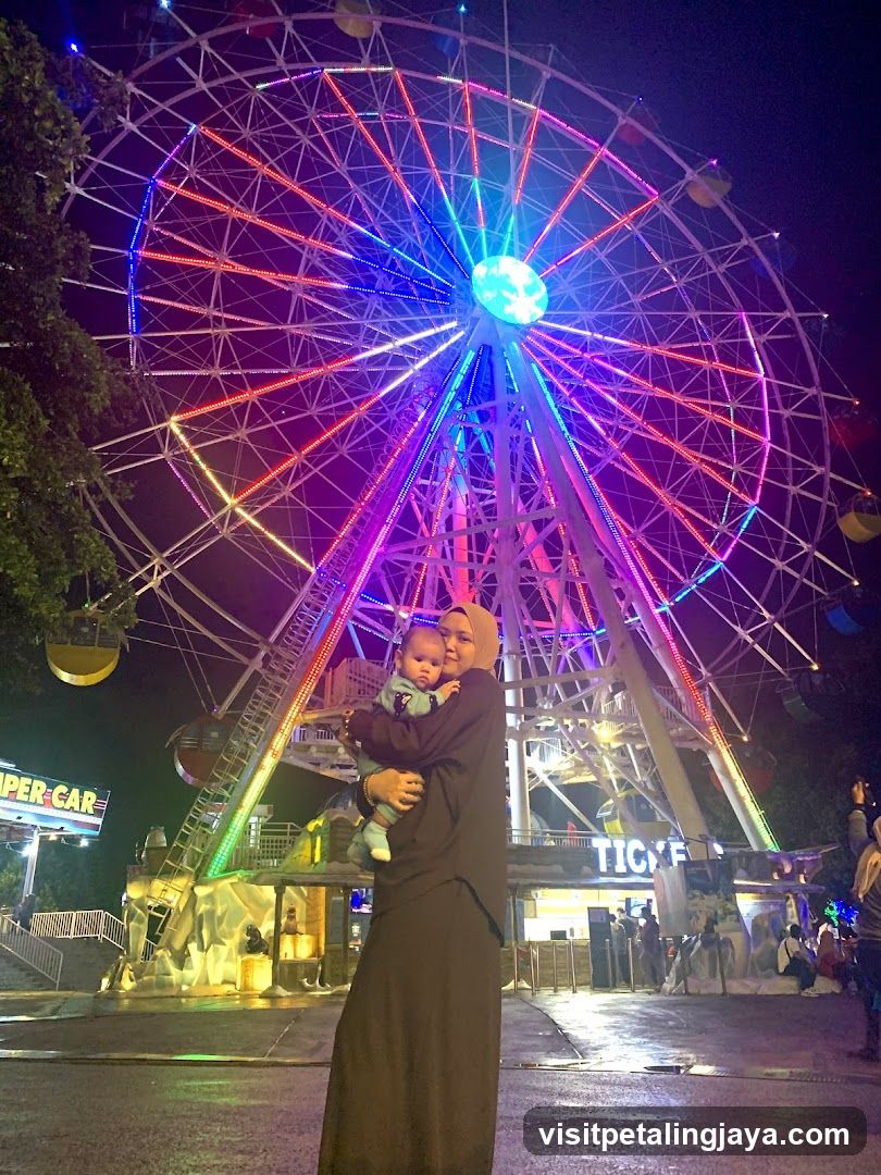 Ferris Wheel at Night