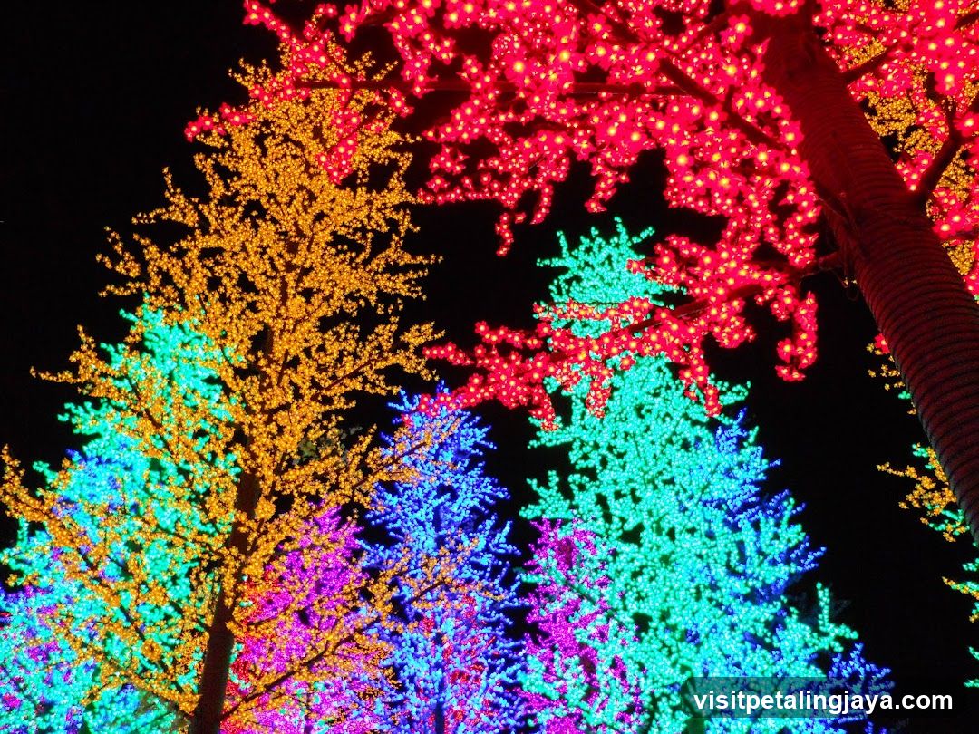 Illuminated Trees