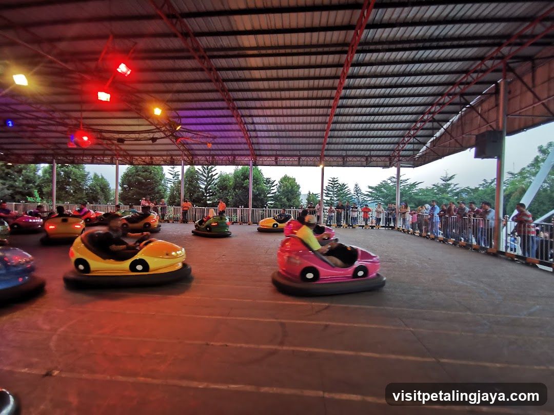 Bumper Cars Ride