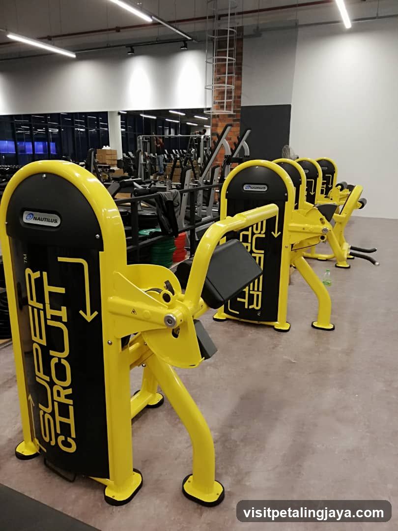 Gym Equipment