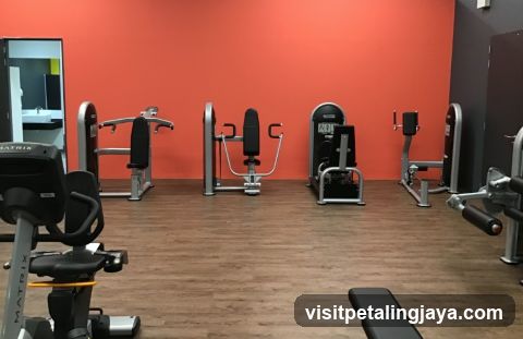 Gym Equipment