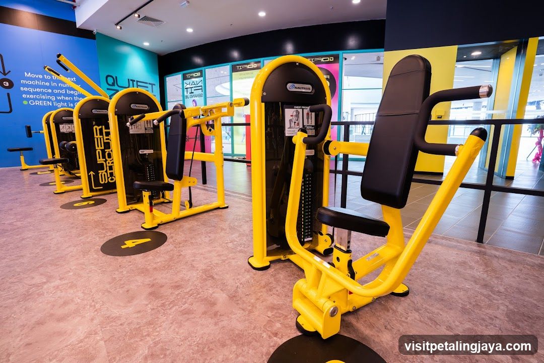 Gym Equipment