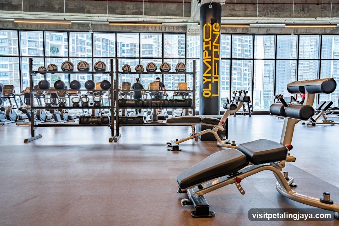 Gym Interior with Weight Training Equipment