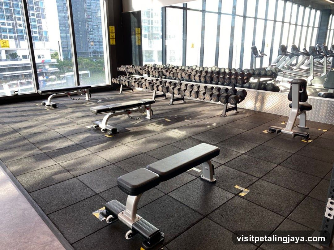 Gym Interior with Dumbbells and Benches