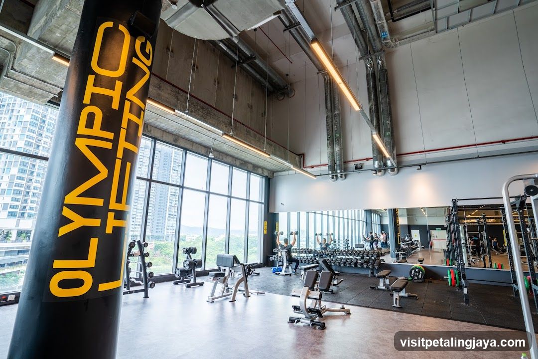 Gym Interior with Weightlifting Equipment
