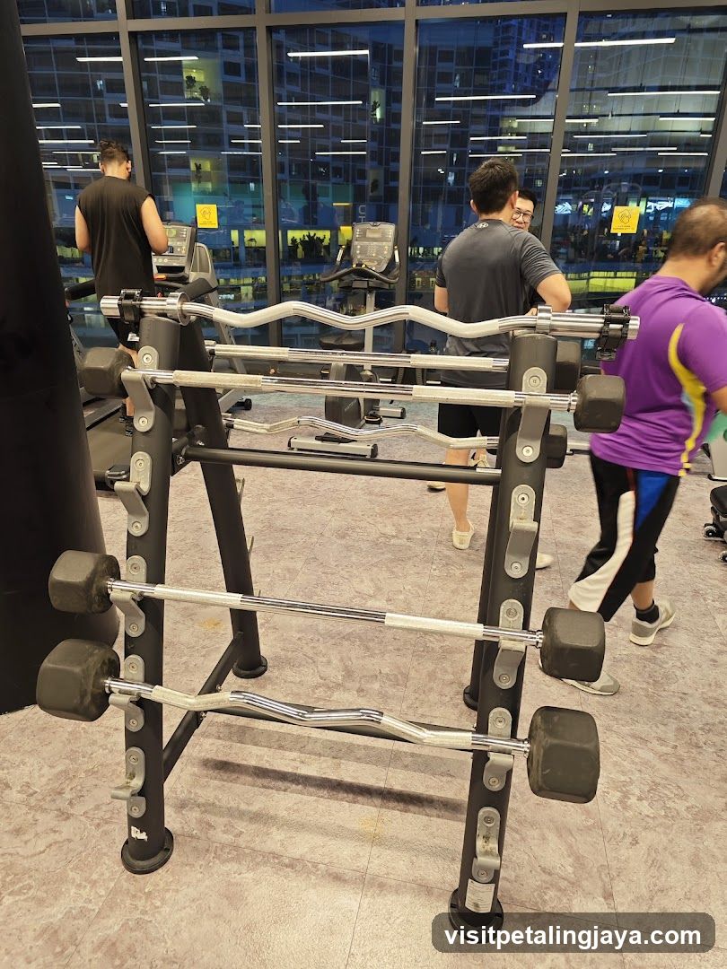 Gym Interior with Weight Racks and Treadmills