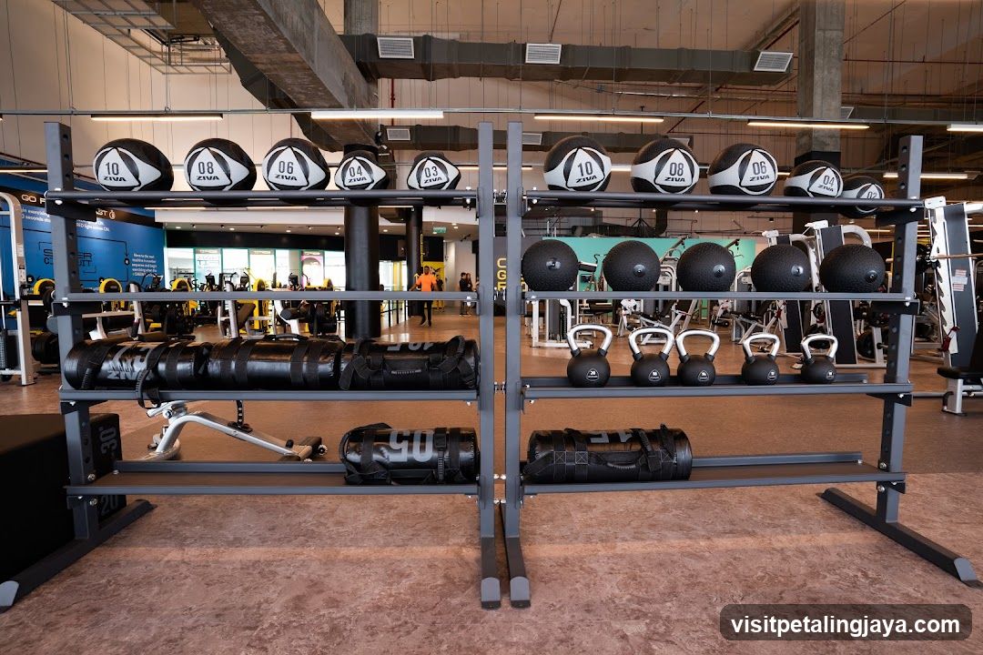 Gym Equipment