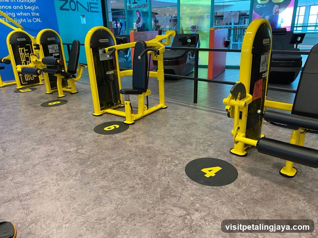 Gym Equipment