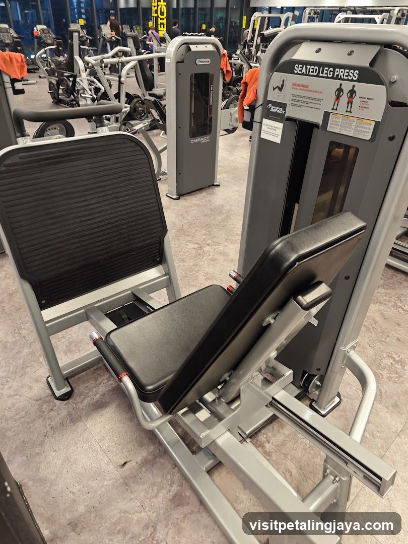 Gym Equipment