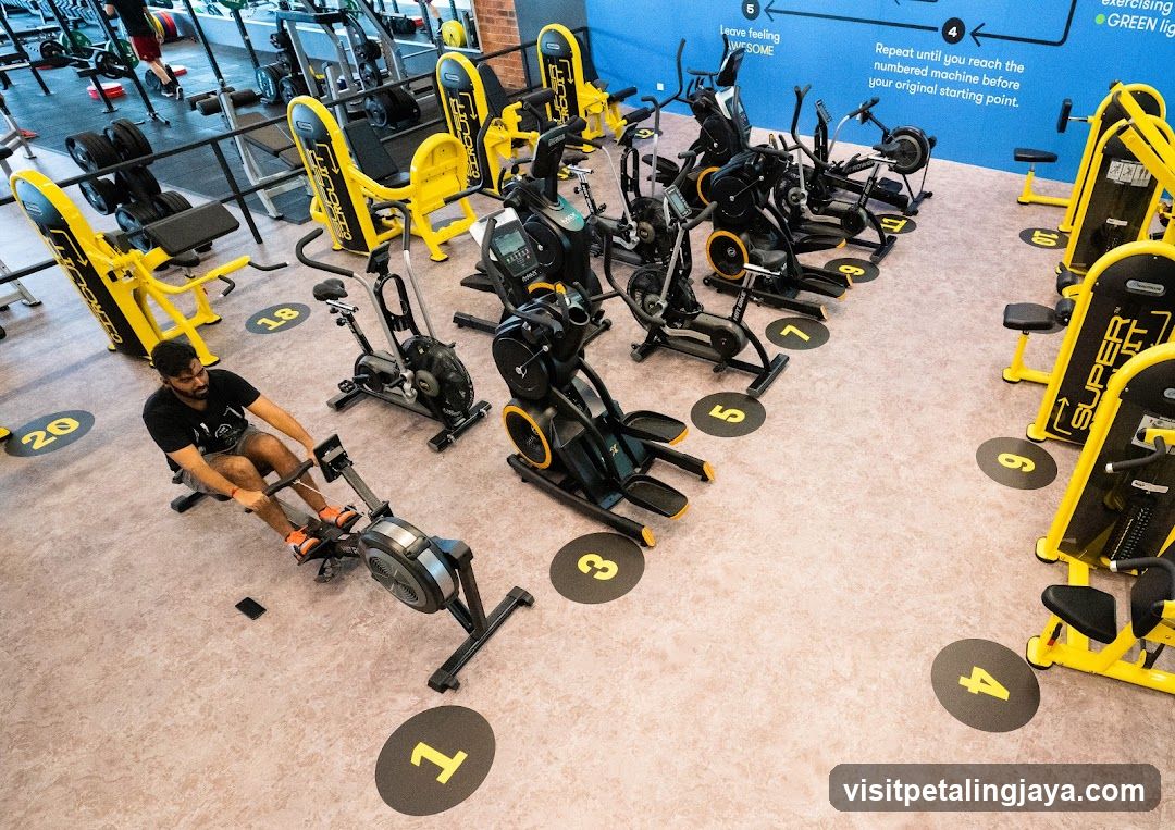 Gym Equipment