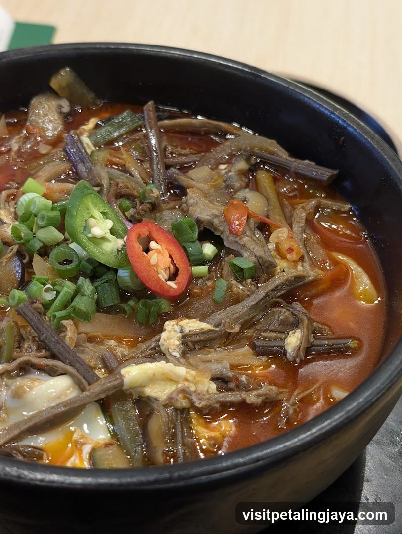Korean Beef and Vegetable Soup