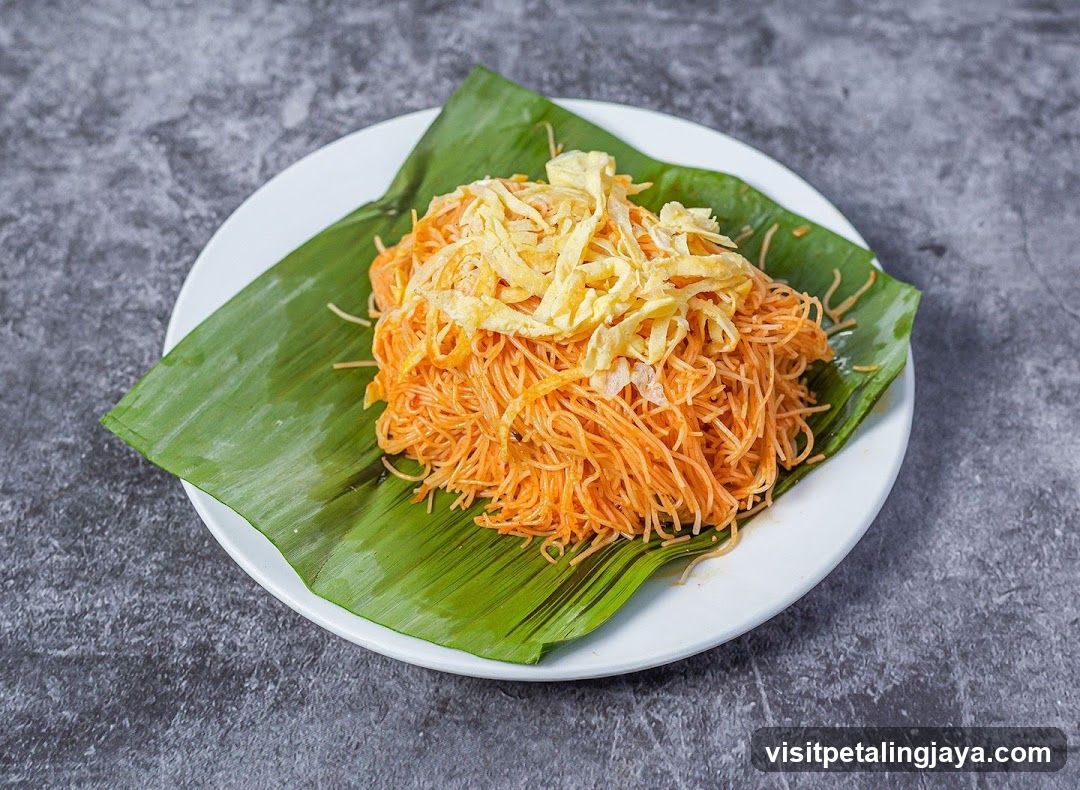 Noodles with Egg Garnish