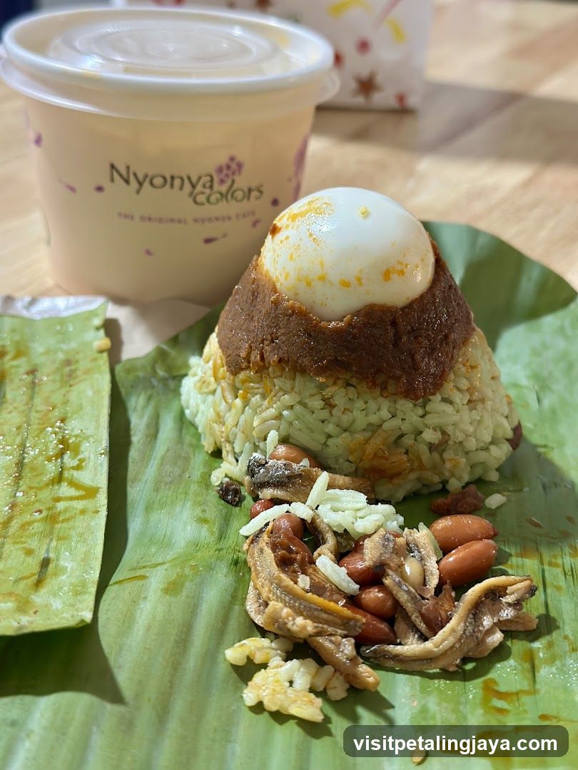 Nyonya Colors Takeout Container and Nasi Lemak