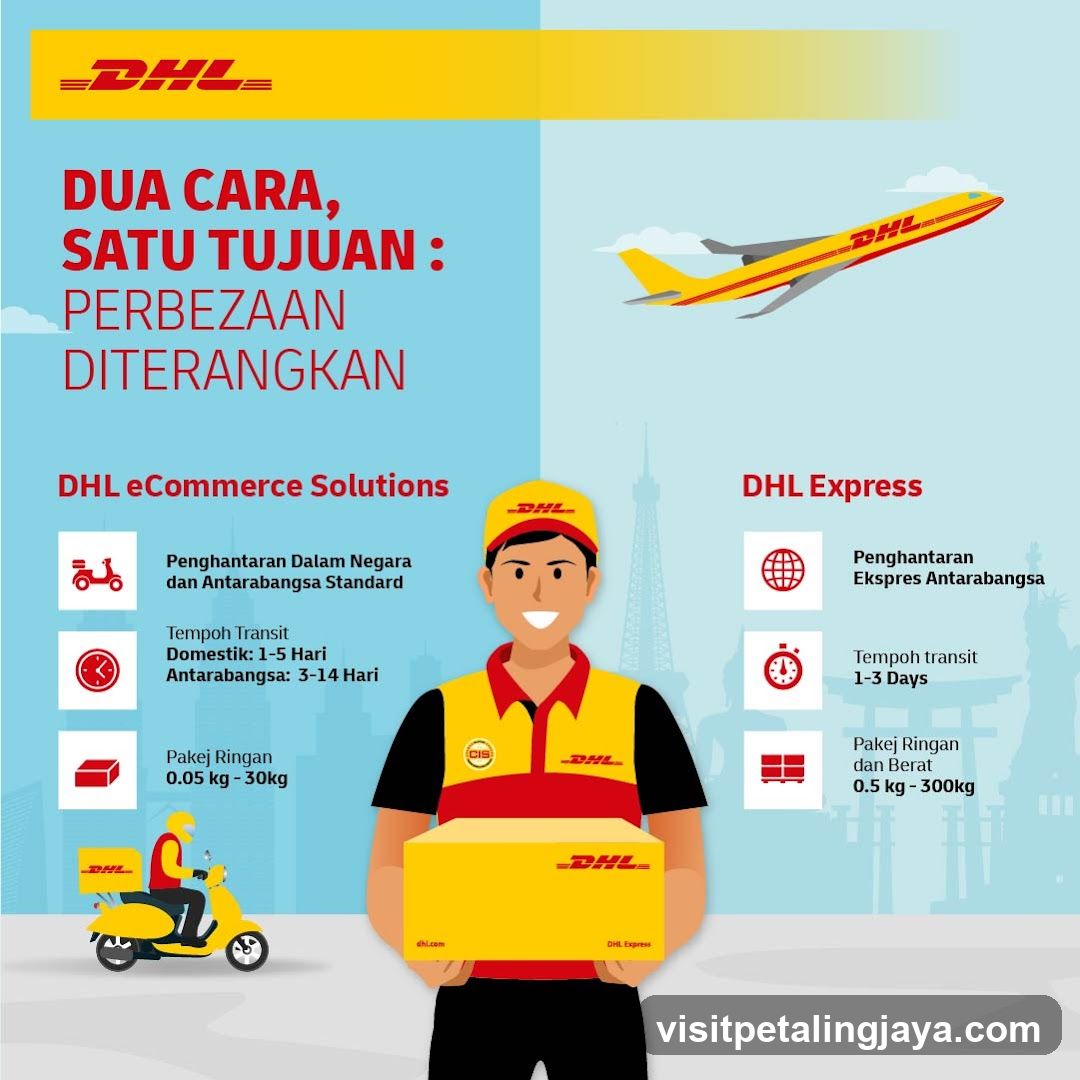 DHL E-Commerce vs. DHL Express Comparison