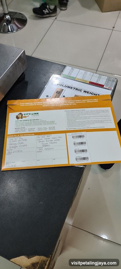 City-Link Express Envelope