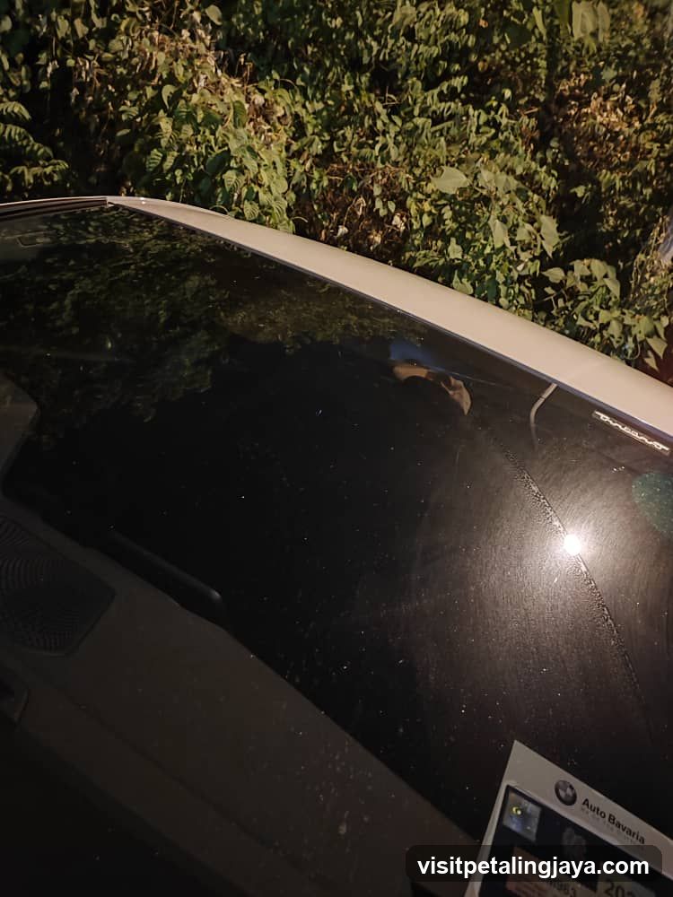 Car Windshield with Sticker