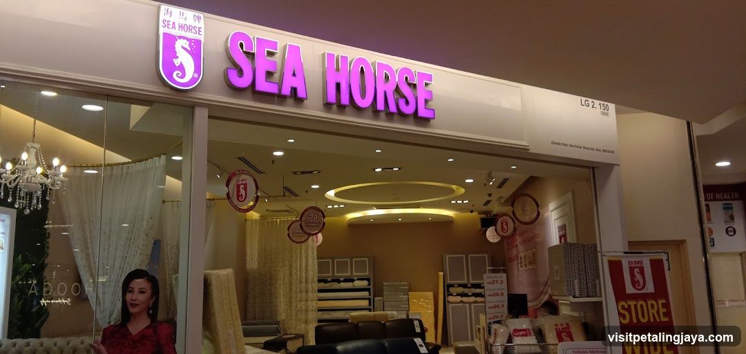 Sea Horse