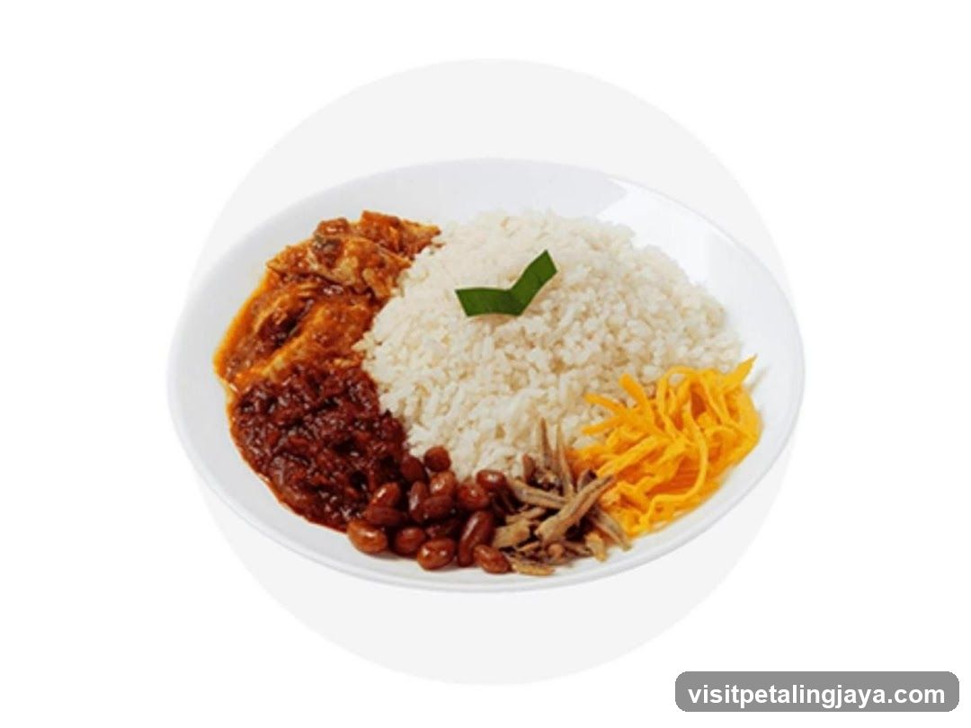 Nasi Lemak