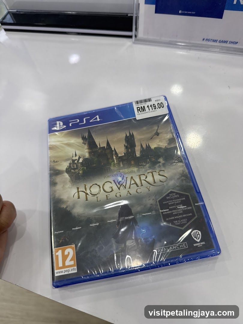 Hogwarts Legacy PS4 Game