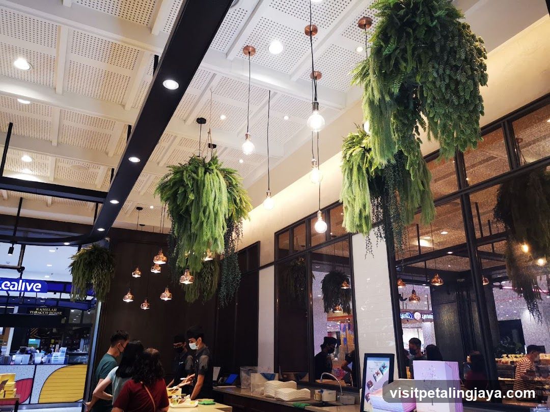 Interior of a cafe with hanging plants
