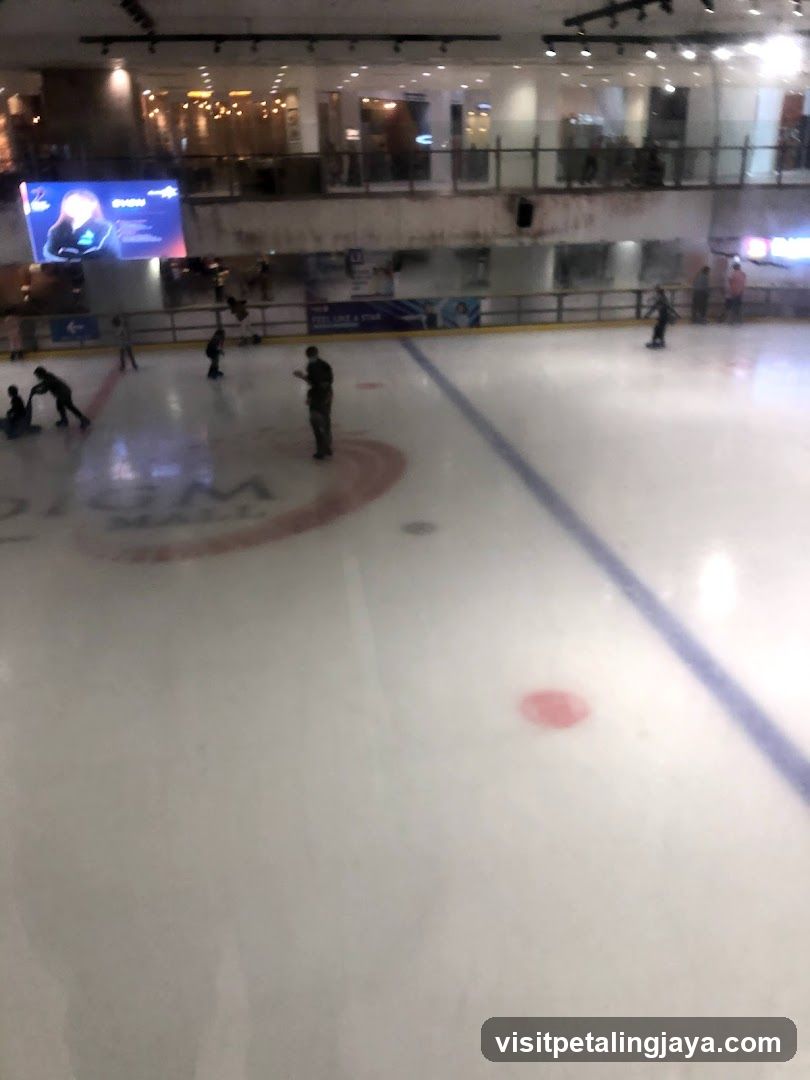 Ice Skating Rink in a Mall