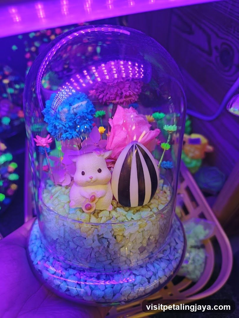 MyLittleFlower (Paradigm Mall) - 会睡觉的真花， 永生花，夜光花礼品专卖店