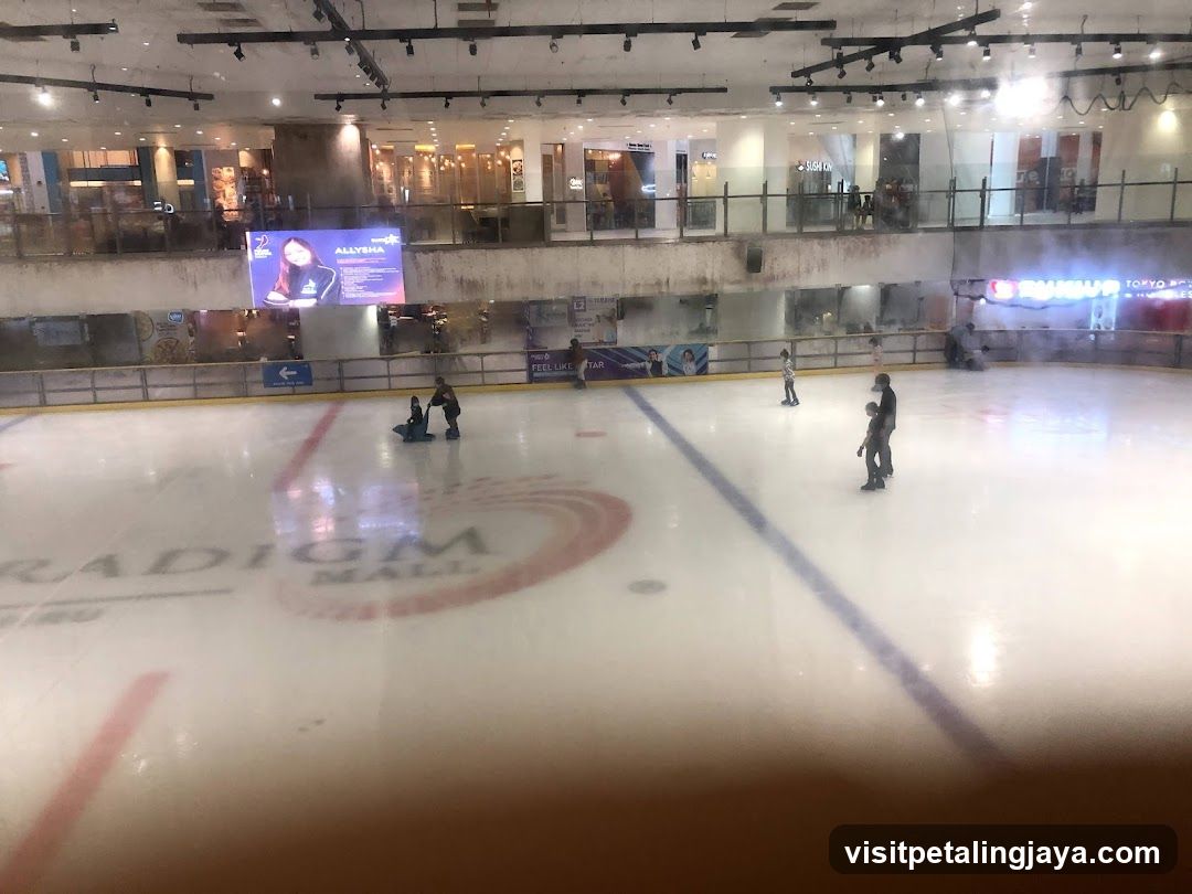 Ice Skating Rink in a Mall