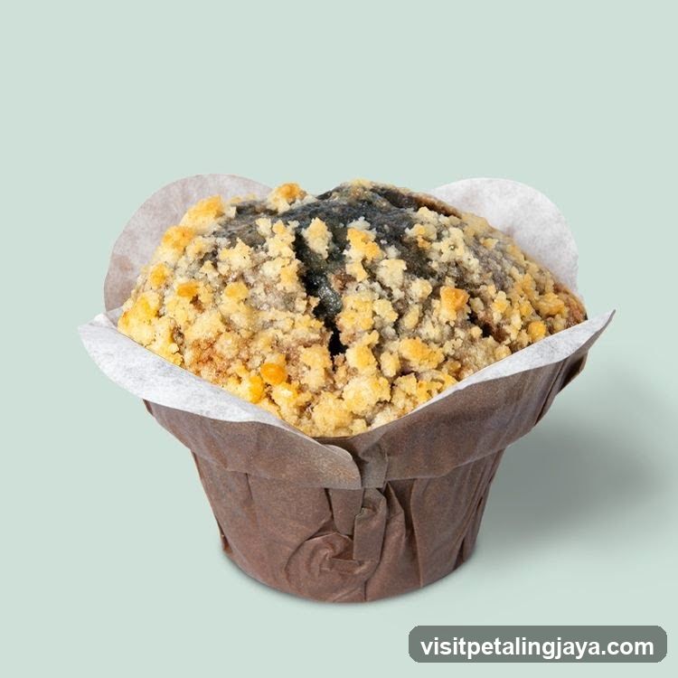 Blueberry Muffin