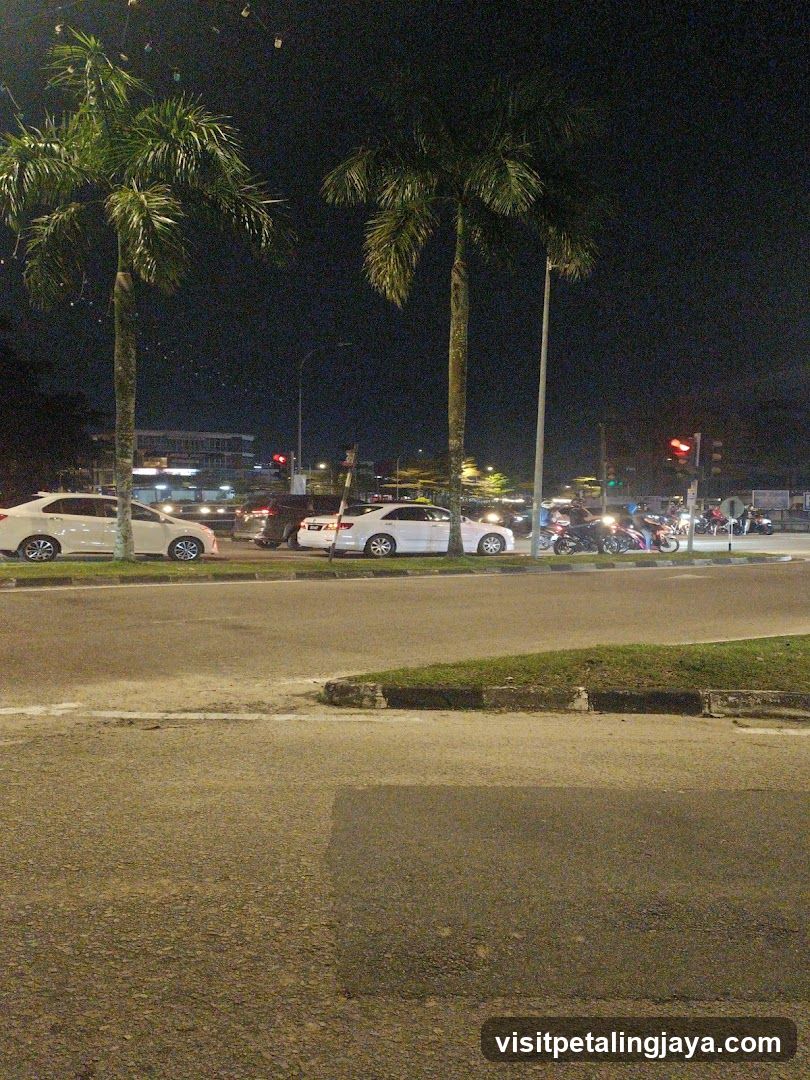 Nighttime street scene with palm trees and traffic