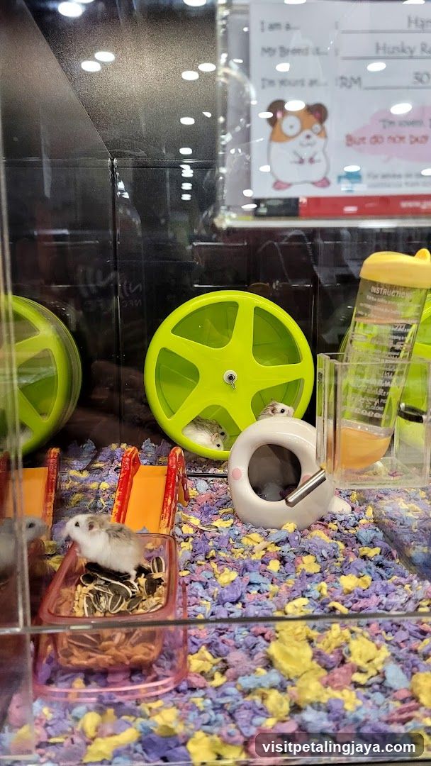 Hamster Habitat