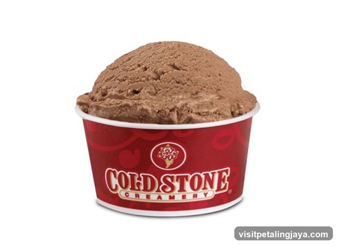 Chocolate Ice Cream