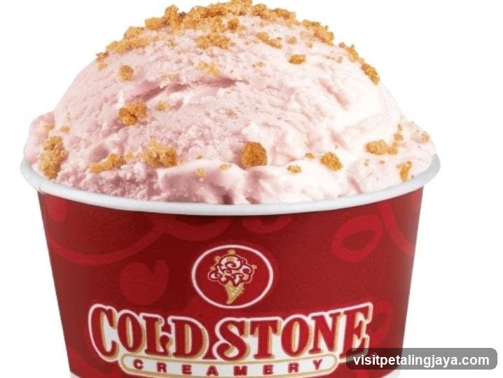 Ice Cream Cup