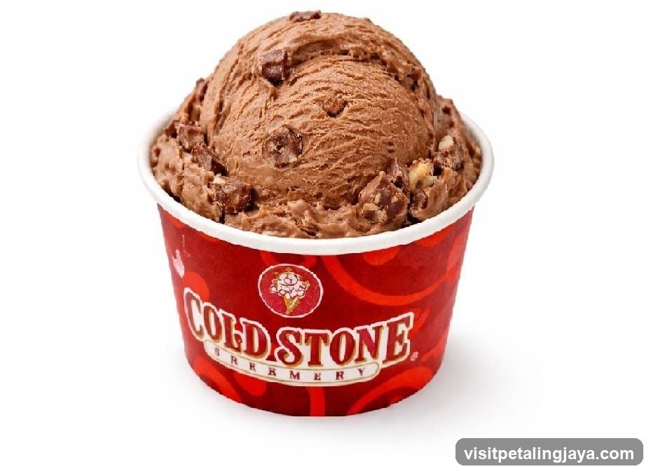 Chocolate ice cream in a cup