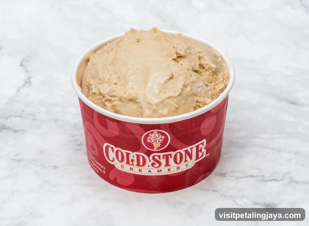 Ice Cream Cup