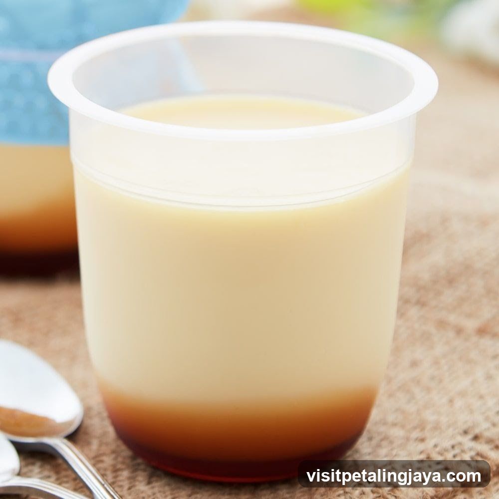 Custard Pudding