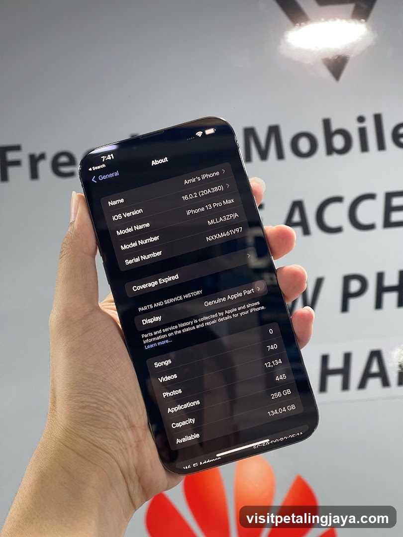 iPhone About Screen