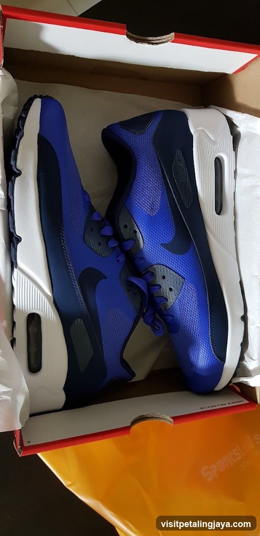 Nike Air Max 90 Shoes in Box