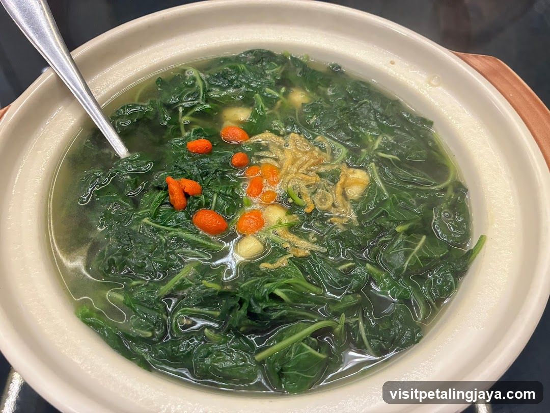 Vegetable Soup