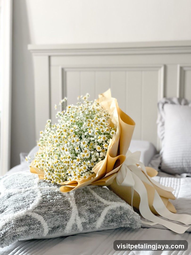 Bouquet of Daisies on a Bed