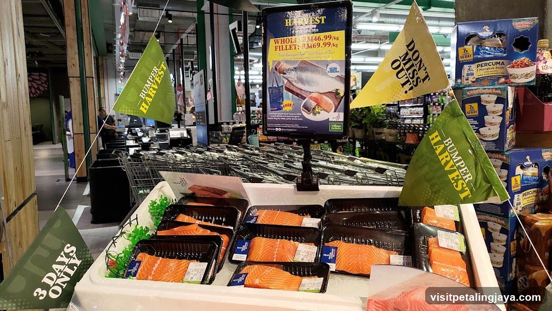 Salmon Display