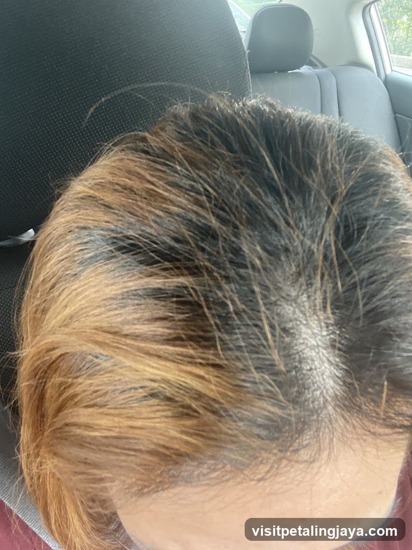 Hair in Car