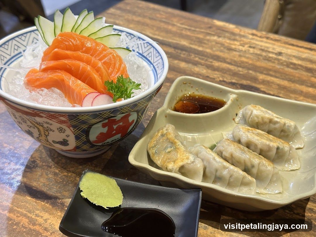 Sashimi and Gyoza